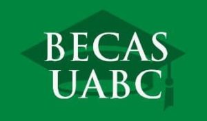 becas uabc